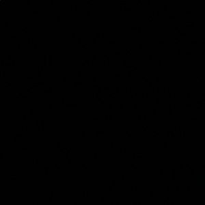 Meet your Posher, Roy